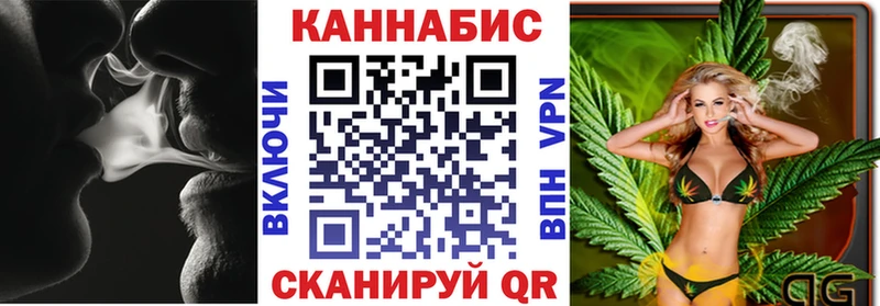 ГАШ Гдов