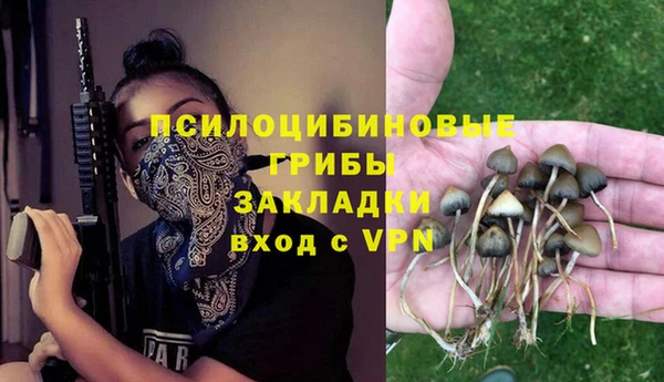 мет Алексин