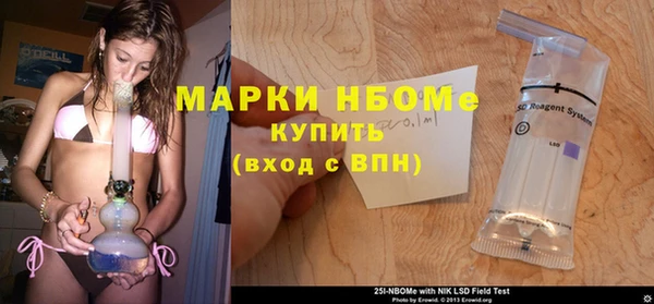 мет Алексин