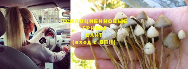 мет Алексин
