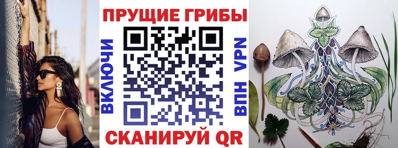 где купить наркотик  Гдов  Галлюциногенные грибы мицелий 